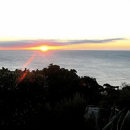 Faslam 1455 * Les Issambres